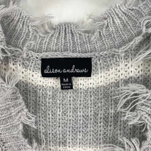 Alison Andrews Women’s V Neck Eyelash Trim Striped Thick Knit Sweater size M - Picture 2 of 3